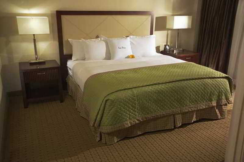 Doubletree By Hilton Tampa Rocky Point Waterfront Hotell Rom bilde